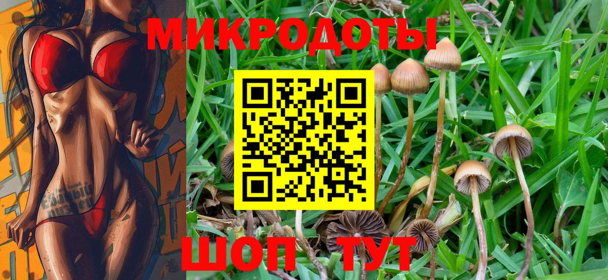 Галлюциногенные грибы Cubensis Хабаровск