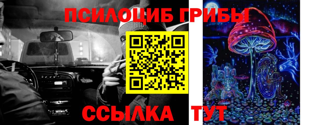 Галлюциногенные грибы MAGIC MUSHROOMS  Вход с VPN  Хабаровск 